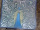 The Bluetones Expecting to Fly limited edition lp 1st press  britpop 90s indie
