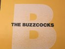 The Buzzcocks The Peel Sessions Album MINT on Vinyl