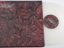 NB17	Desaster	Live in Bamberg	CLEAR VINYL 2LP   *UNPLAYED*