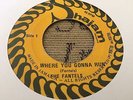 Fantels Where You Gonna Run Rare Killer Roots 7