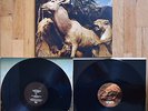 Interpol Our Love to Admire Vinyl 2xLP NM 2007 Original Press