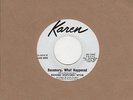 Richard Popcorn Wylie - Rosemary What Happened - Karen DEMO 2nd - Northern Soul