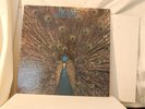 The LA4 L.A.4 Direct to Disk Pavane Pour Une Infante Shank Brown Mann Almeida LP