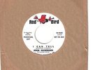 JOHN HAMMOND  blues/rock 45  I Can Tell / I Wish You Would  (promo) - NM