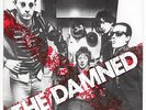 Single   THE DAMNED   New Rose   Stiff Rec. 17 704 AT  1977   UNPLAYED