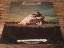 JOHN & BEVERLEY MARTYN stormbringer UK ORIGINAL FOLK PINK ISLAND m- 1970 LP