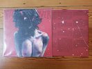 Pig Destroyer, Terrifyer, LP ,Vinyl, first press, Relapse Rec, Metal, Grind, HC