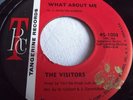 THE VISITORS   WHAT ABOUT ME ** US TRC 45