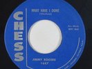 R&B Soul Popcorn 45 - Jimmy Rogers - What Have I Done - Chess - VG++ mp3