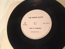 The Damned - Dodgy Demo (SGS 107) Rare Punk 45 Vinyl