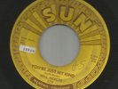 ROCKABILLY bw/ TEEN- -WILL MERCER-  YOU'RE JUST MY KIND   -HEAR -1959 SUN 329