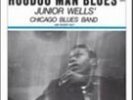 Junior Wells-Hoodoo Man Blues (2LP)  VINYL LP NUEVO (Importación USA)