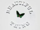 The Stone Roses Beautiful Thing Vinyl (New)
