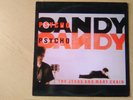 The Jesus and Mary Chain Psychocandy 12