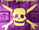 TEENAGE BOTTLEROCKET - Stealing The Covers - Vinyl (LP)