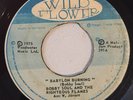 BOBBY SOUL & RIGHTEOUS FLAMES - BABYLON BURNING - WILD FLOWER ( ROOTS REGGAE 7 )