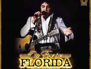 ELVIS PRESLEY - ON FIRE IN FLORIDA - Straight Arrow Records