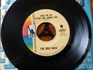 THE IDLE RACE - 