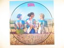 SUPERBE 33T PICTURE DISC PINK FLOYD THE GREAT GIG IN THE SKY