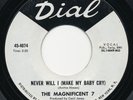MAGNIFICENT 7 Never Will I DIAL Killer Soul 45 Hear