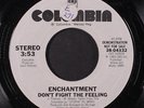 ENCHANTMENT: Don't Fight The Feeling / Same 45 (dj, sm tol, Modern Soul Ballad)