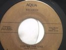 The Twilights - You're The One Aqua Records