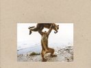 SHELLAC - DUDE INCREDIBLE NEW VINYL