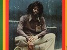ERROL  FLABBA HOLT - ROOTS  RADICS  DUB -  SELLING SLEEVE  ONLY   IN  EX  COND.