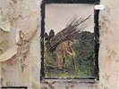 Led Zeppelin - Led Zeppelin Vinyl LP Album New & Sealed