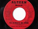 DRAKE & THE EN-SOLIDS-PLEASE LEAVE ME ON ALTEEN NORTHERN 45