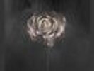The Weight of Your Love [7/2] * by Editors (Vinyl, Jul-2013, 2 Discs)