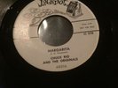 Chuck Rio And The Originals 45 Margarita Super Rare   Vg Cond