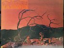 C.A. Quintet - Trip Through Hell ORIG Vinyl LP Minneapolis Psychedelic Rock