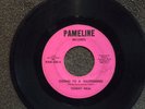 northern soul TOMMY NEAL Goin' To a Happening PAMELINE 200 listen