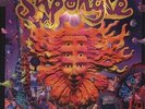 SHPONGLE - MUSEUMS OF CONSCIOUSNESS NEW VINYL