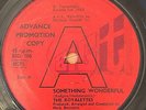 THE ROYALETTES ' SOMETHING WONDERFUL / RIVER OF TEARS' RARE NORTHERN SOUL 60'S