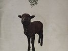 SKYHOOKS Straight In A Gay Gay World LP with Gatefold + Lyric Sheet
