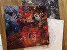 paradise lost draconian times 2LP 1995