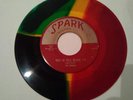 1954 THE ROBINS Riot In Cell Block #9  1 Of A Kind- 7 MultiColor VINYL 45 Record
