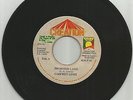 GADFREY LEWIS / PROMISED LAND / VERSION / D.Js STYLE / 7''/ VG+