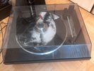 Dual CS 415-2 Turntable;MODIFIZIERT;Plattengewicht etc,plus 66 DJ Vinyls...