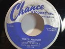 LITTLE WALTER J 