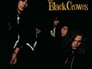 Shake Your Money Maker by The Black Crowes (Vinyl, Feb-2014, Universal)