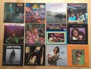 Larry Coryell 12 Vinylalben LPs