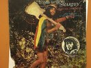 Jah Rasta - Tribute to Bob Marley  AFRO REGGAE COSMIC SYNTH