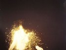 WOLF ALICE - My Love Is Cool - Vinyl (gatefold 2xLP)