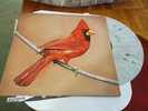 ALEXISONFIRE 2XLP COLORED CITY AND COLOUR THRICE CIRCA SURVIVE BANE MONEEN