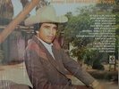 Chalino Sanchez - Los Amables del Norte - El gallo de Sinaloa / LP