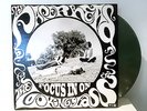 THE PAPERHEAD FOCUS IN ON… THE LOOKING GLASS OOP DEBUT PROMO LP TROUBLE IN MIND