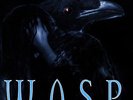 W.A.S.P. Still Not Black Enough LP Limited Edition Very Rare Blackie Lawless
